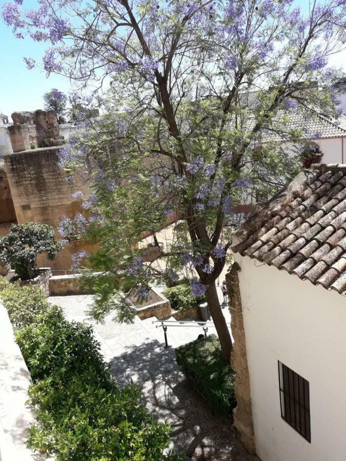 Los Tejares Del Alcazar Кордоба Екстериор снимка